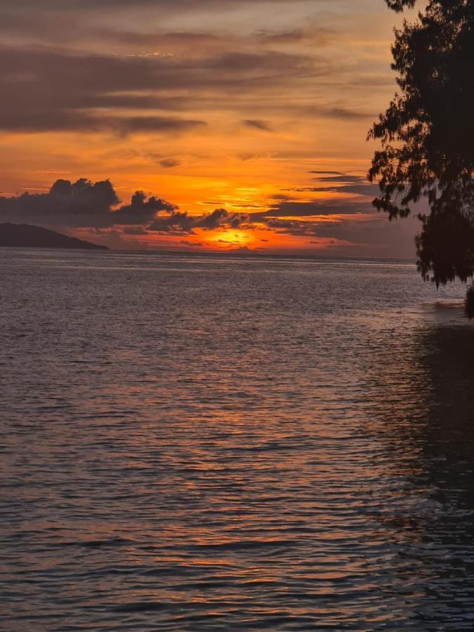 Wai Resort - Raja Ampat Pulau Birie المظهر الخارجي الصورة