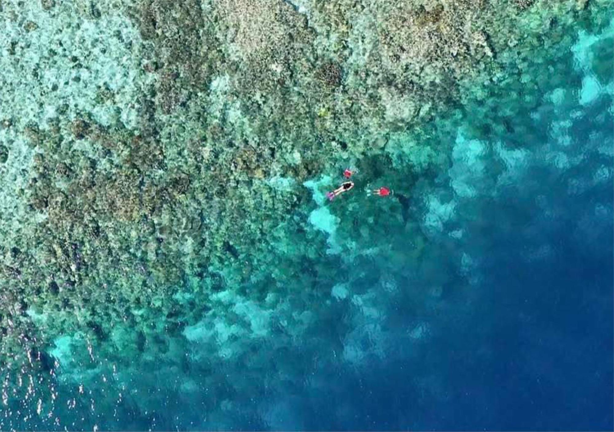 Wai Resort - Raja Ampat Pulau Birie المظهر الخارجي الصورة