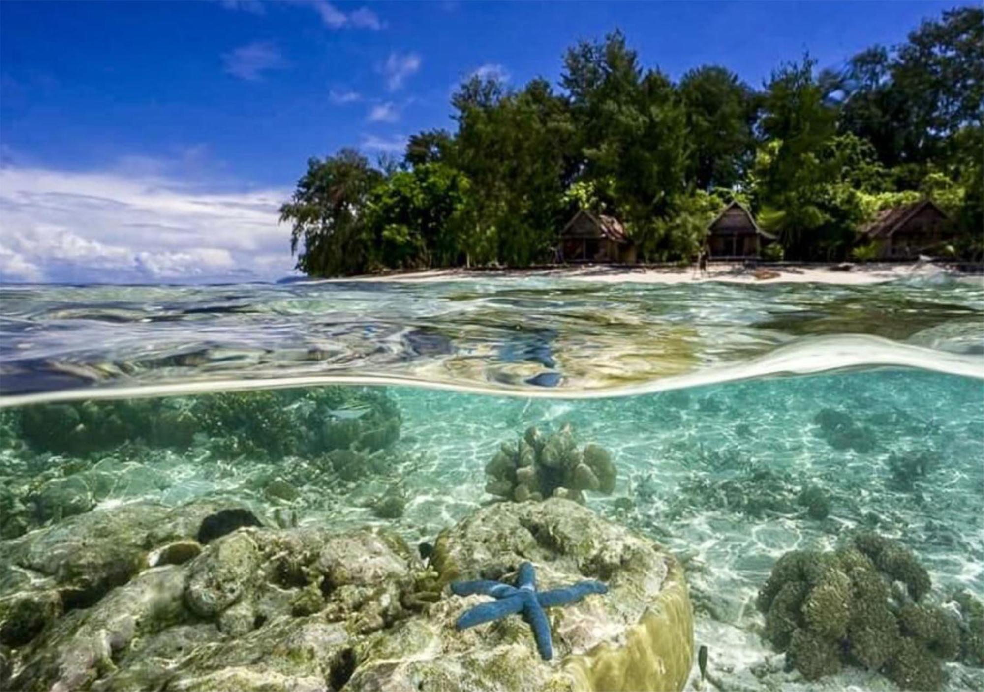 Wai Resort - Raja Ampat Pulau Birie المظهر الخارجي الصورة
