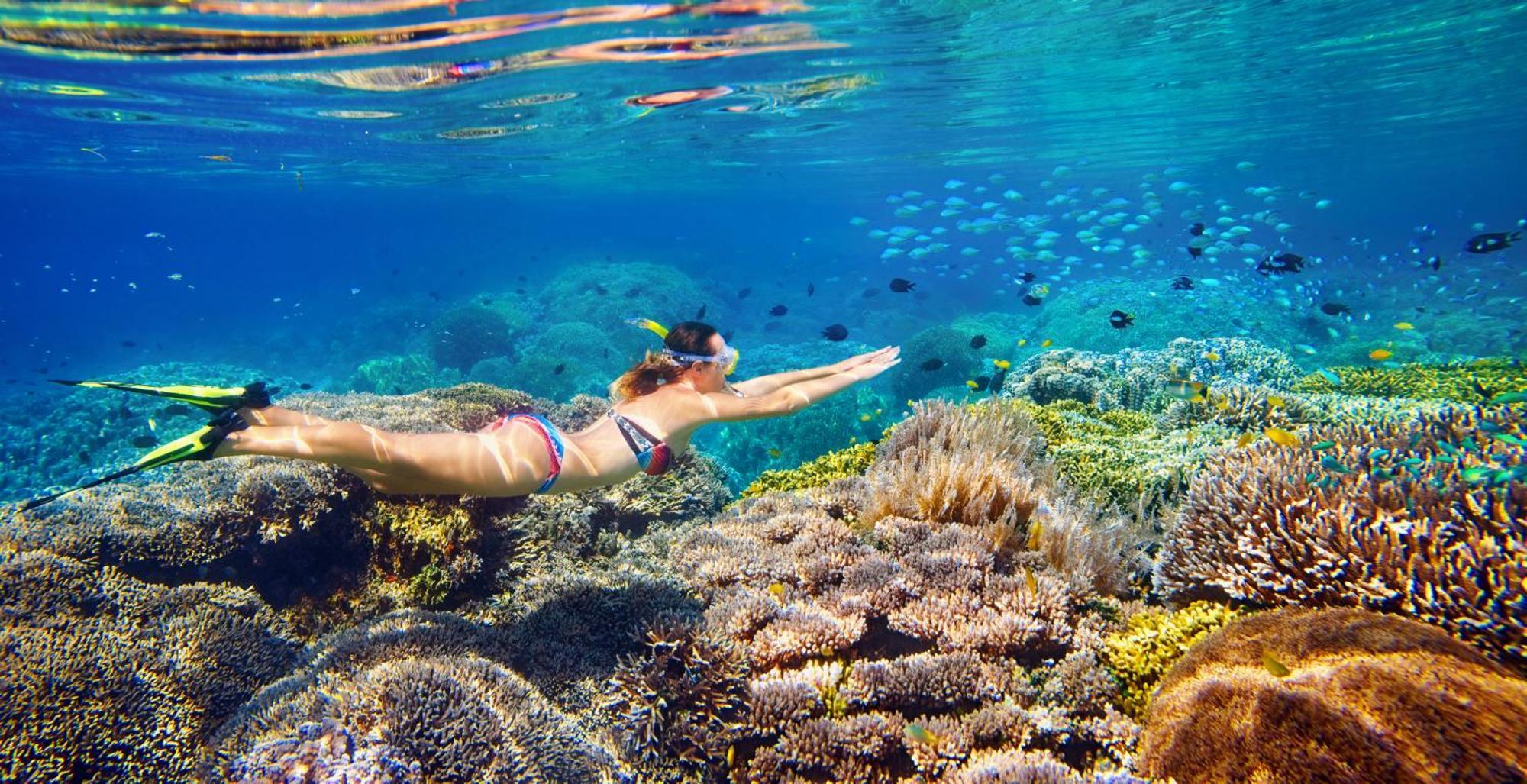 Wai Resort - Raja Ampat Pulau Birie المظهر الخارجي الصورة